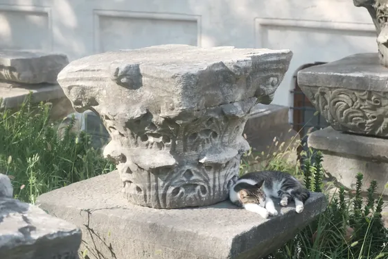A cat asleep on a stone plinth beside a weathered carved capital, in a garden of antique fragments